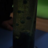 krouzek_51